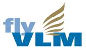Logo Fly VLM